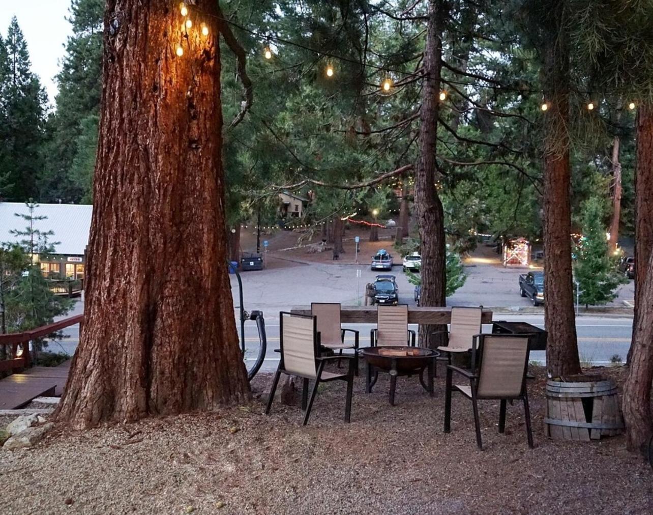Bear Cave- Pet Friendly Suite In Shaver Lake Bagian luar foto